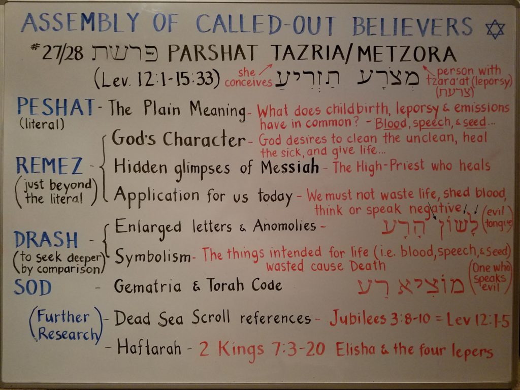 Tazria - Metzora whiteboard by Pastor Isaac Heckman