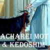 acharei-kedoshim