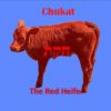 Chukat red heifer