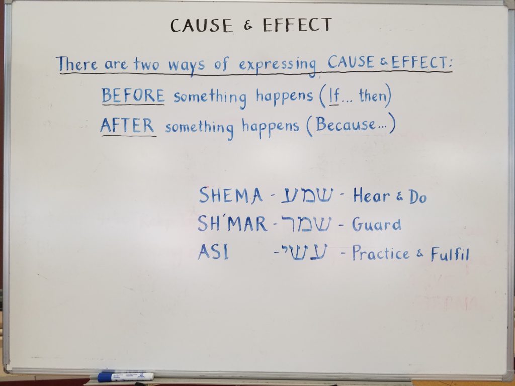 Eikev - Cause & Effect by Rabbi Yitzchak