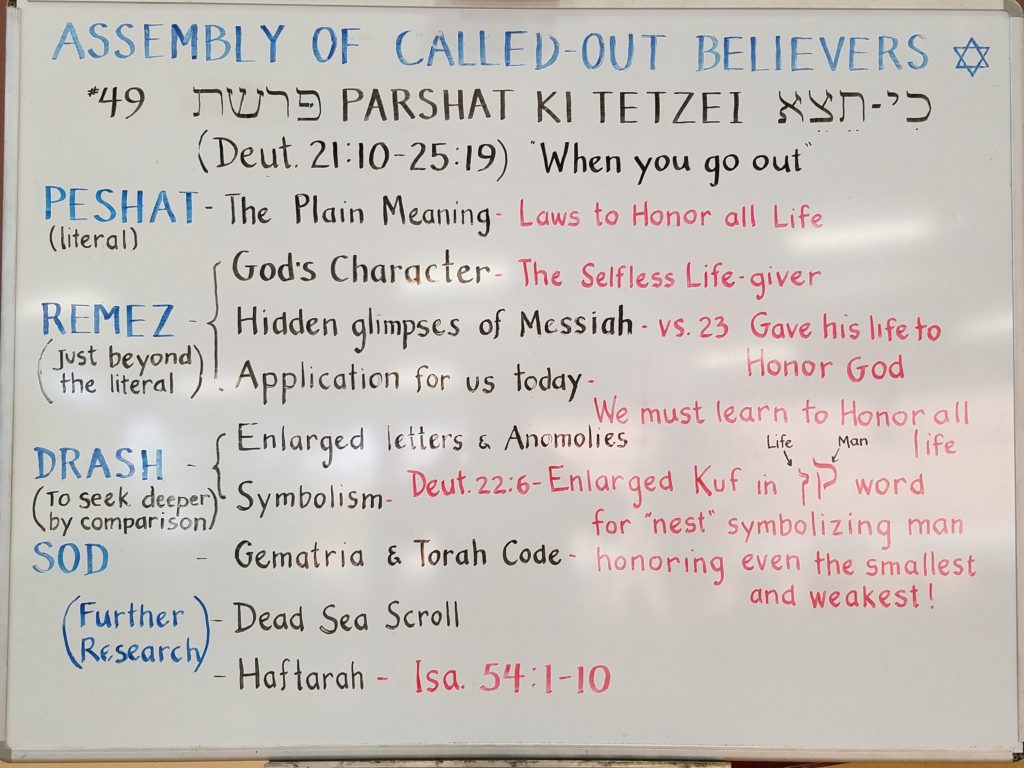 Ki Tetzei Whiteboard