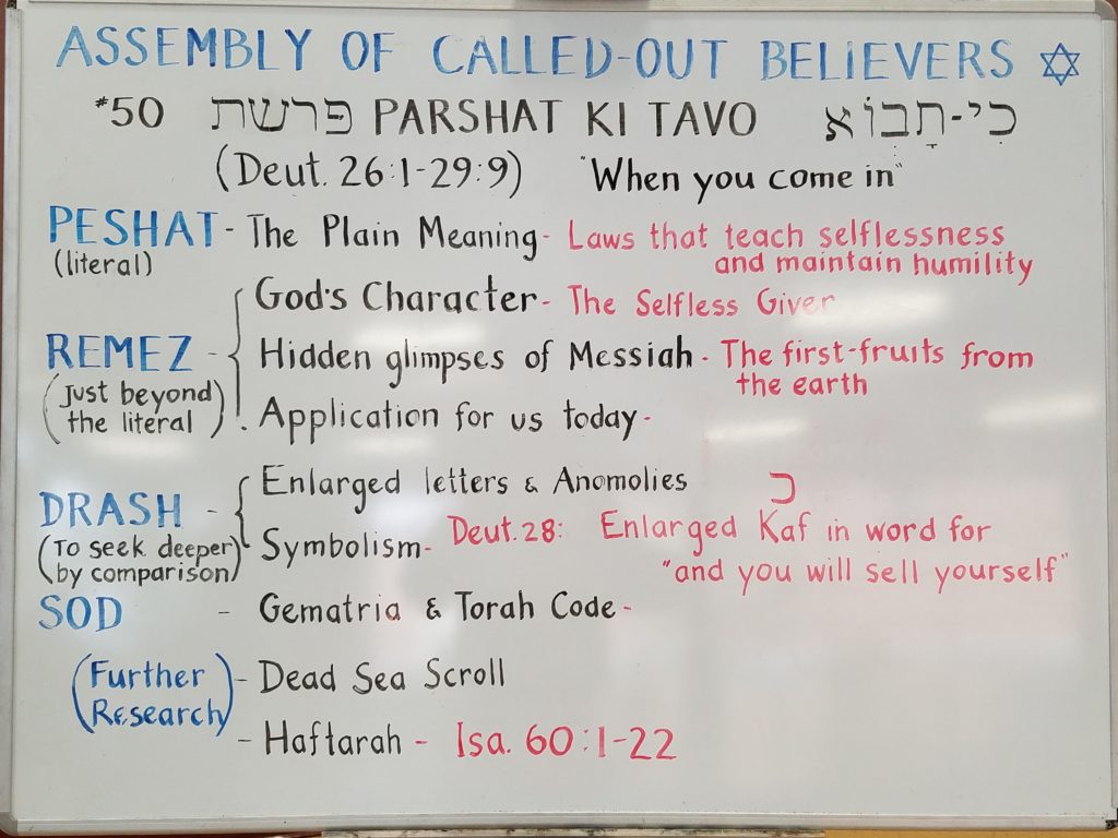 Ki Tavo whiteboard - by Rabbi Yitzchak