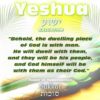 Yeshua was born on Sukkot